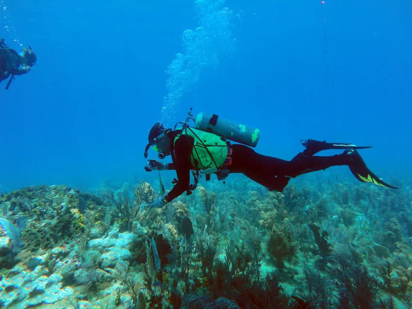 Documenting the missing cannon balls which have left round hollows in the coral