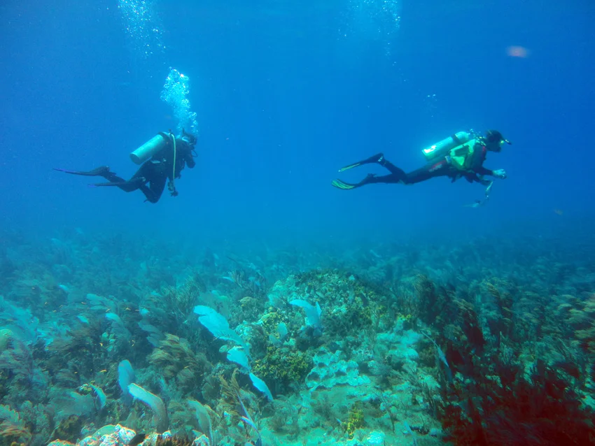 Conducting a visual "star pattern" survey to see if there were any more artefacts on the reef. No artefacts were seen in a 50 sqm radius from the two piles of cannon balls. Note the hollow depressions where cannon balls had been removed from the concretion reef