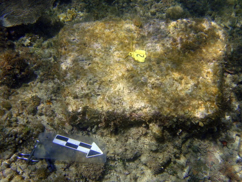 Block No: 2