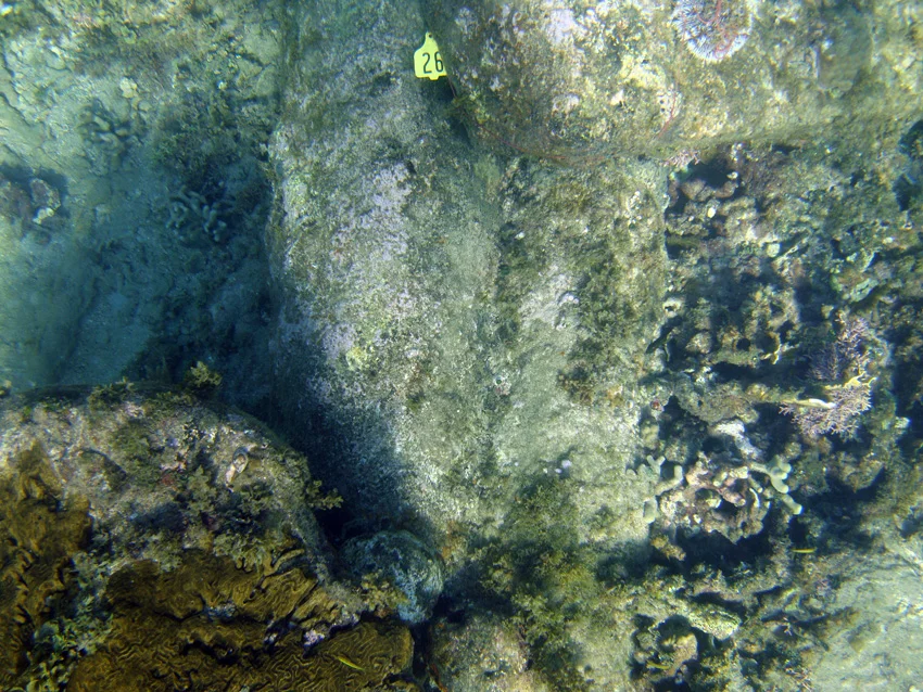 Block No: 26 on a cannon