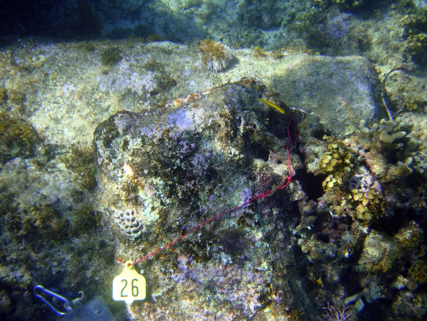 Block No: 26