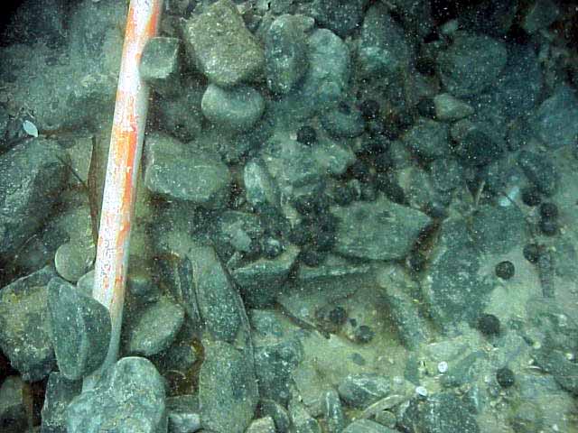  French musket balls on the ballast pile, approximatly 450 per Sqm 