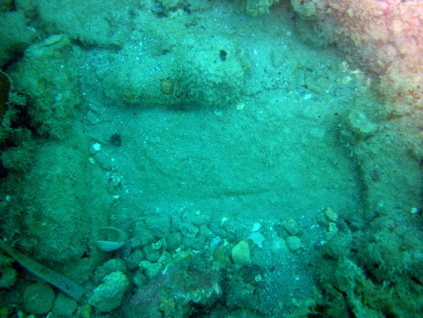  Photograph showing the join between two bricks, in the centre of the photograph