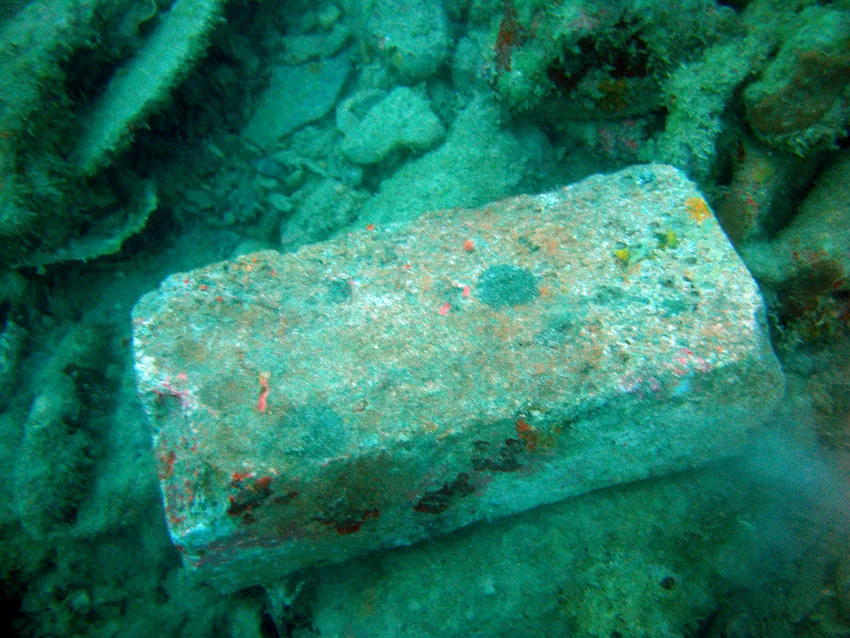 One of the bricks clearly showing fingerprints of the manufacturer
