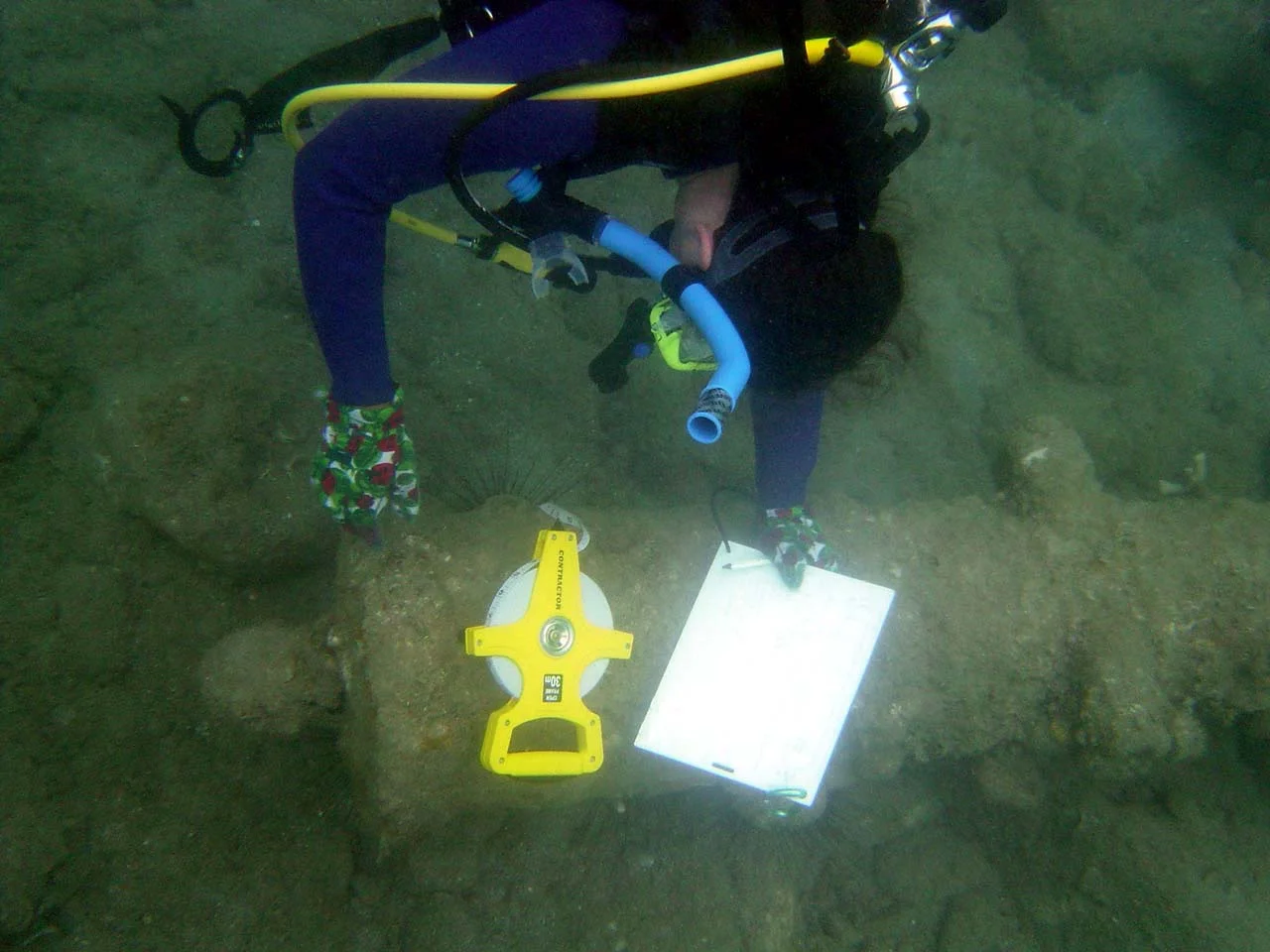 Nathalie to measure cannon B.jpg