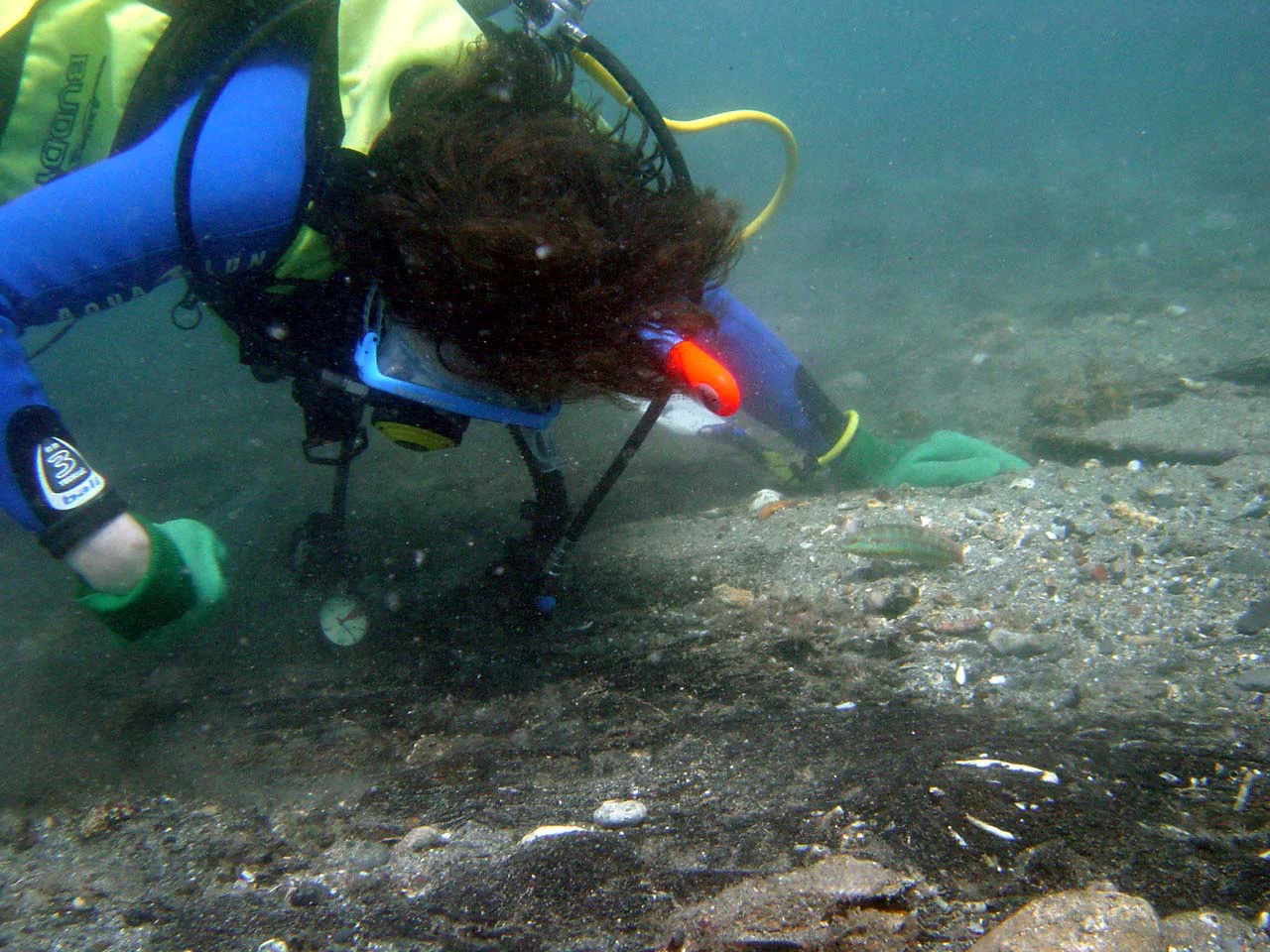 Patrick's hand fanning attracts the fishes