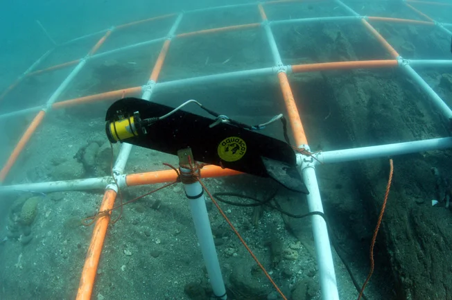 The Aquascan underwater towed camera also worked very well as a stationary camera
