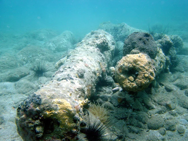 The cannons are so concreted it was not possible to take accurate measurements of the muzzle