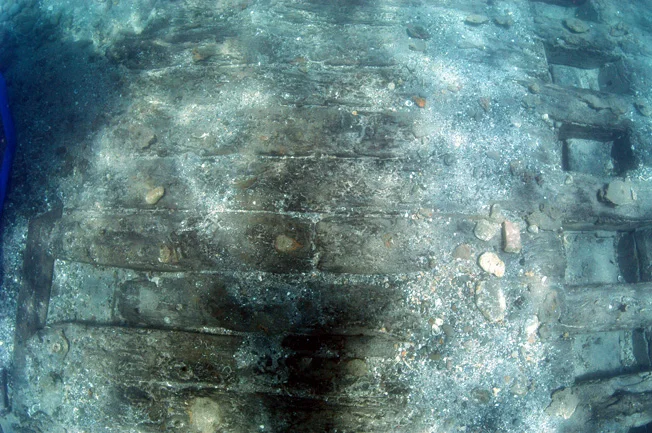 The timbers were massive and very well preserved under the sand