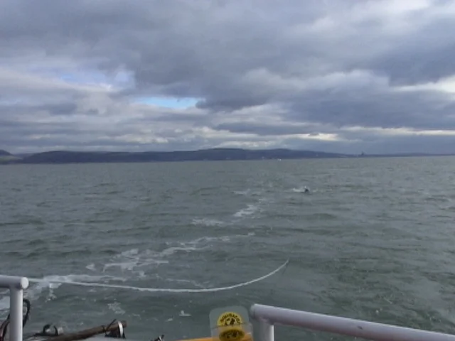  "Mowing the lawn" all day can be tedious. 