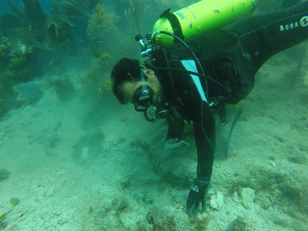 Dr Roberto Junco Sánchez in action during the survey
