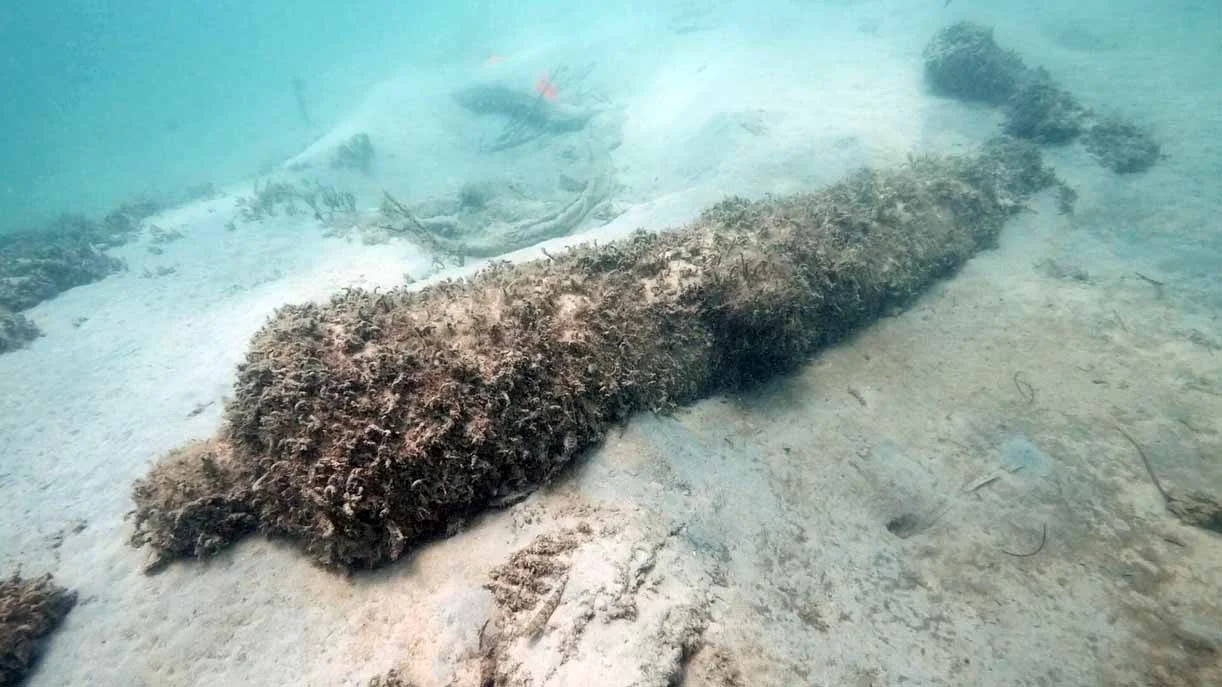 Cannon Two, a 9pdr iron Carron cannon which had been uncovered by the earlier storms, covered with marine algae above the bow