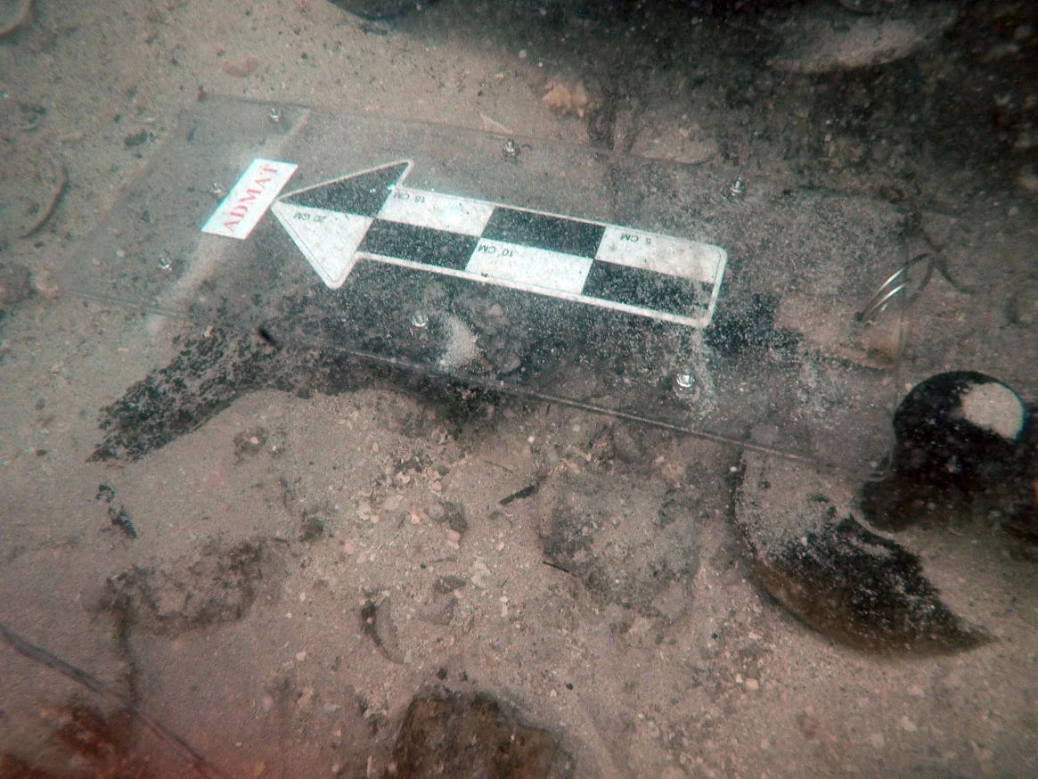The wooden pulley wheel and spindle missing the outer wooden casing of the block, located on the starboard side of the wreck