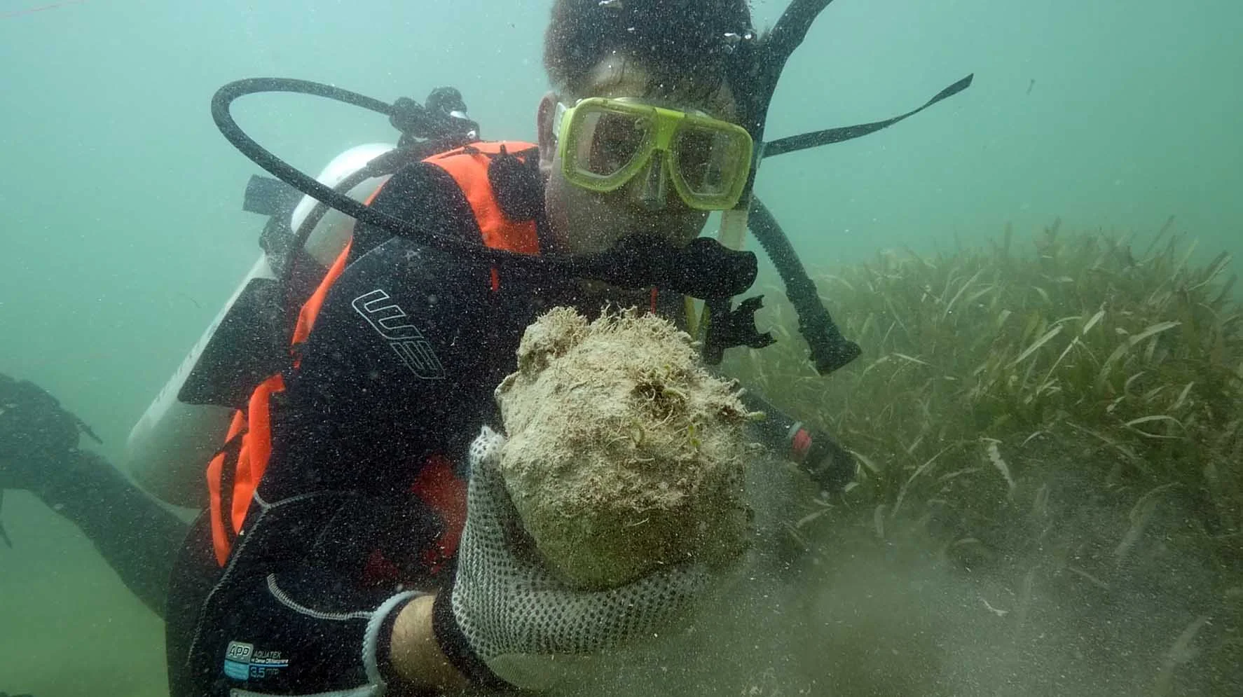 Simon with a cannonball covered with a natural concretion