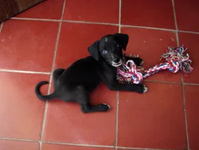 “See I can play too!”