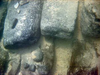 The ceiling planking which had fallen onto the strakes when the floor and futtock timbers had been eaten away