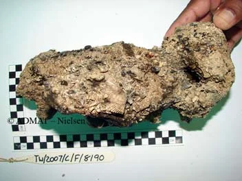 A concreted iron axe head