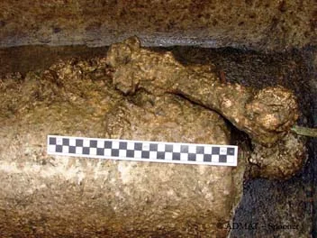 One of the gun carriage truck pins concreted to the underside of the breach of Cannon No: 1