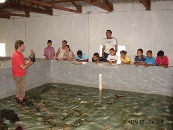 Simon showing two adds from The Tile Wreck concreted together, explaining how concretions are created, and how this artefacts will be conserved in the ONPCS laboratory in Santo Domingo before being placed in museums.