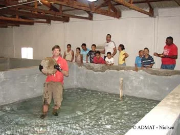 Rami talks about The Faience Wreck while Simon puts the grinding wheel back in it's place in the conservation tank.