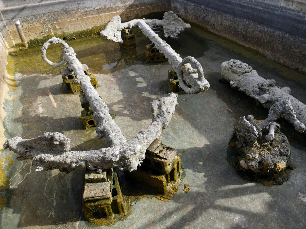 Ok so now the anchors and cannons from The Tile Wreck have been cleaned and the conservation water removed, the next task is to measure them….