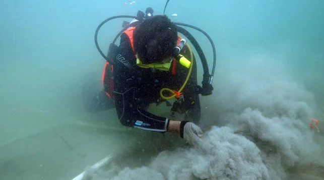 Dr Spooner hand fanning liquid sand over the first reinforcement section of cannon No:1. The white PVC grid from 2000’s survey can be clearly seen