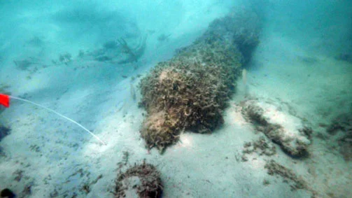Cannon No:2 uncovered by a storm and covered with algae growth