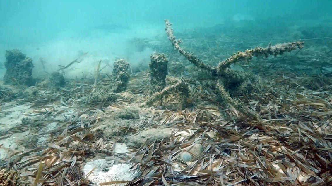 The remains of the water cask/barrel on the stern section of Le Dragon. The iron rebar style local fisherman’s anchor can be seen tangled up