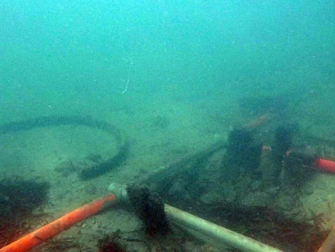 The hoop as found next to the barrel with the remains of the hoops attached to the barrel showing