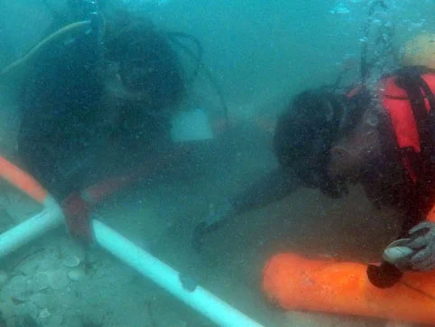The Team start to carefully remove the sand covering the barrel remains