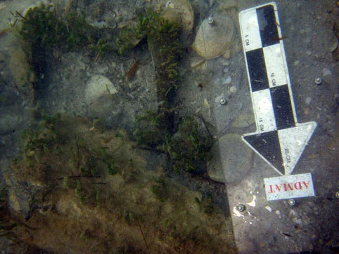 The base of the lead box which was found just outside the grid area in the stern of the ship. The box was held into position by some iron ballast bars