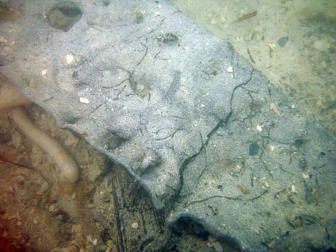 The same piece is fully uncovered showing that the lead strip was fastened to the hull with the same copper alloy bronze nails which were used for the copper sheeting