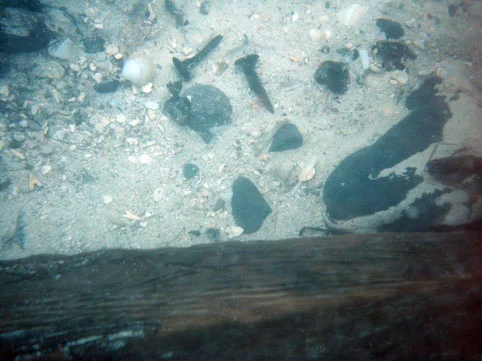 Copper alloy bronze nails next to a long piece of timber which was in excellent condition