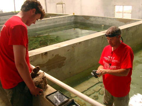 Archaeologist Trenton Bradshaw and Bryan Thomas tagging the artefacts prior to placing them in one of the conservation tanks