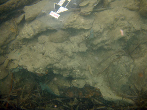 Looking down at a hole in hull on the starboard side. Copper sheeting can be clearly seen where it has separated from the hull planking