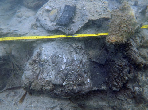 Interestingly there was the remains of a metal strap which was wrapped arround the side of the floor to act as a strengthing. This was also seen on the port side during the 2000 survey