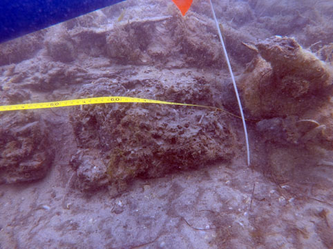 The end of the exposed floors and futtocks on the starboard side