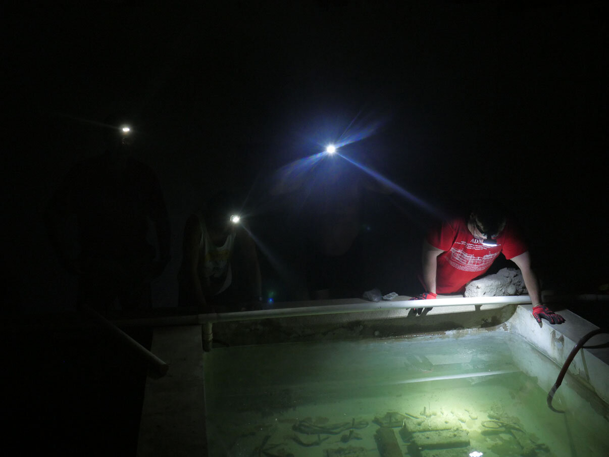 Placing the artefacts in the conservation tanks.