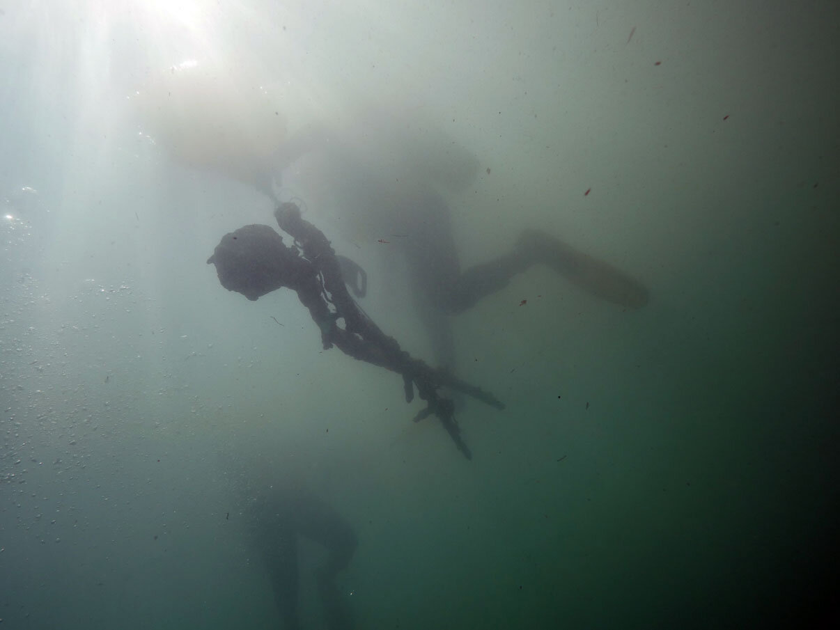 Two more gudgeons heading for the surface.