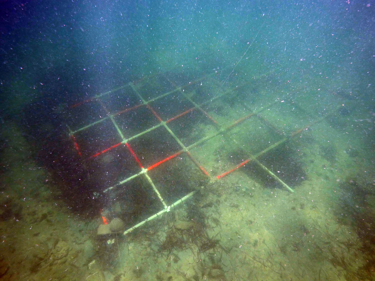 The survey grid placed in the same location as the 2018 survey grid, enabling the survey work to continue.