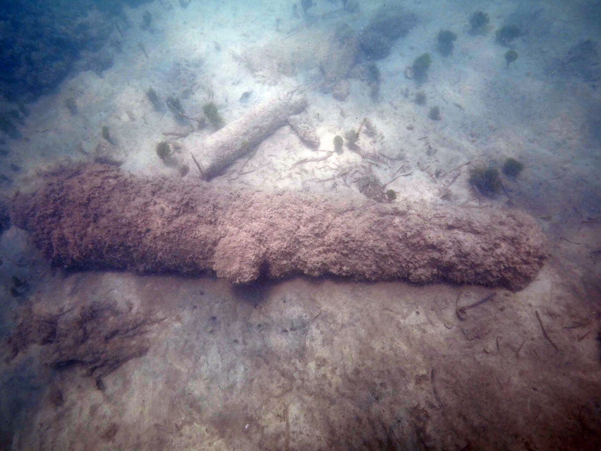 The cannon is still covered with marine growth giving it a ”furry” look to it. Note from the position of the trunnion that the top side is in fact upwards.