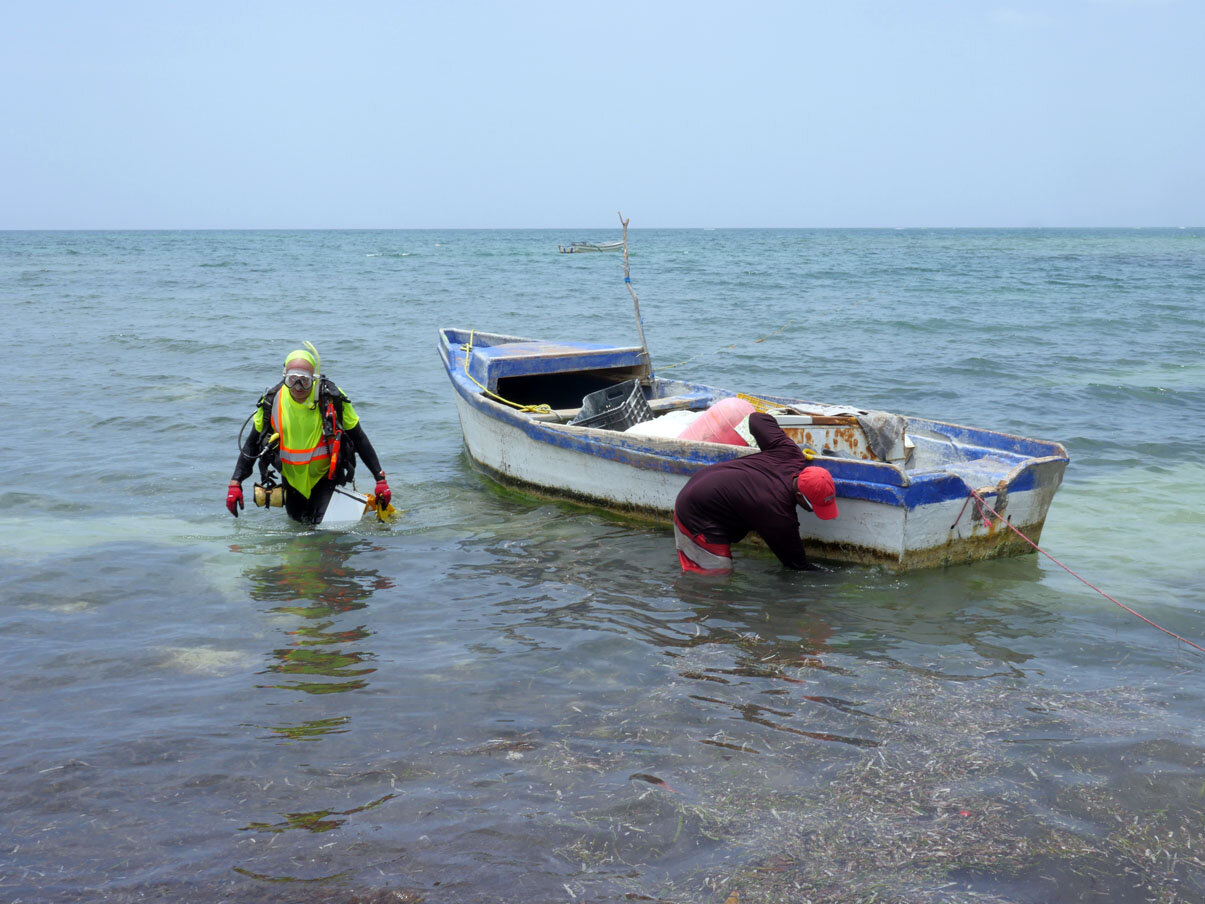 Raimund returns after another successful dive.