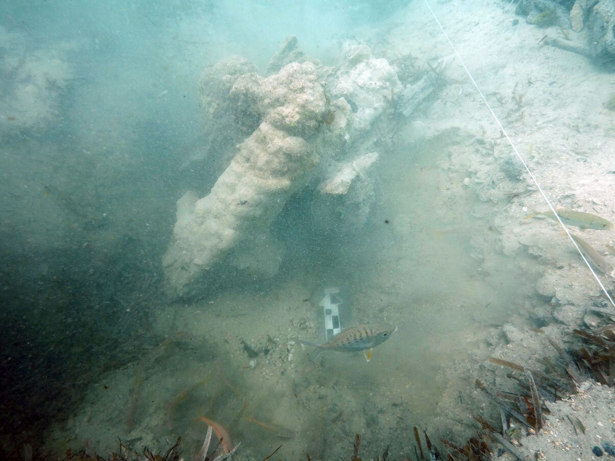 A new gradiometer hit large enough to be a swivel cannon which would be exciting revealed a large concretion of iron ballast bars thrown someway from the wreck site by the explosion.