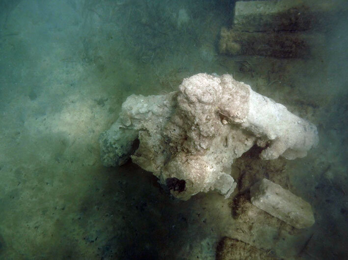 Safely relocated, enabling full documentation to occur as all sides are visible.