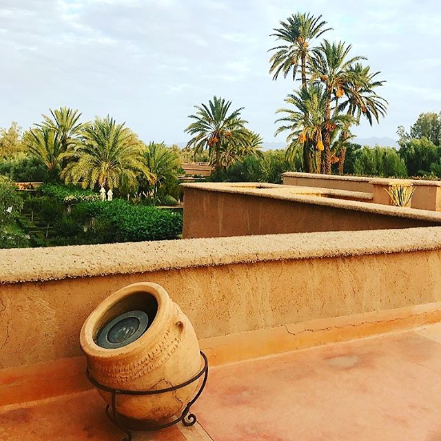 Missing this gorgeous desert oasis in Morocco, featured in the #CrushGlobal Marrakech guide. 👀#LinkInBio