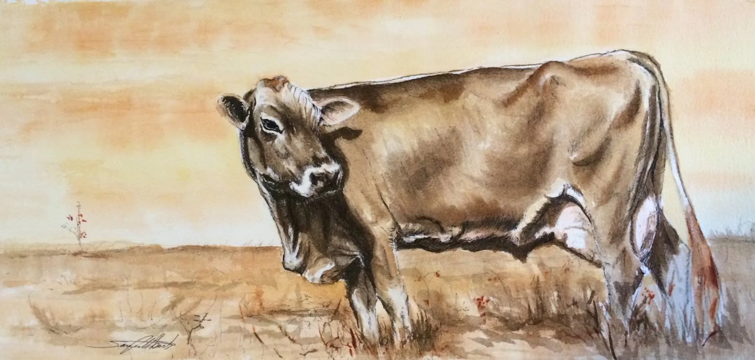 Jersey Cow