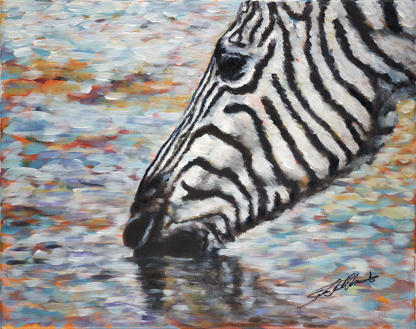 Zebra