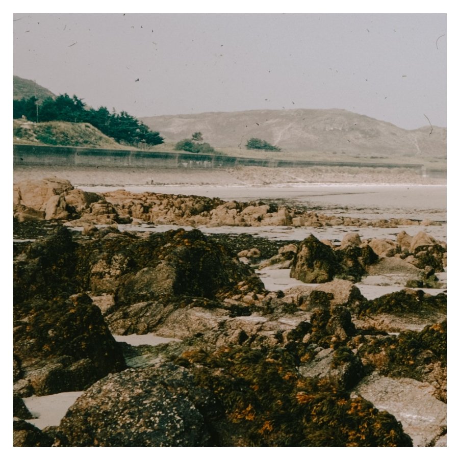 My Favorite Technology-Free Entertainment For the Whole Family