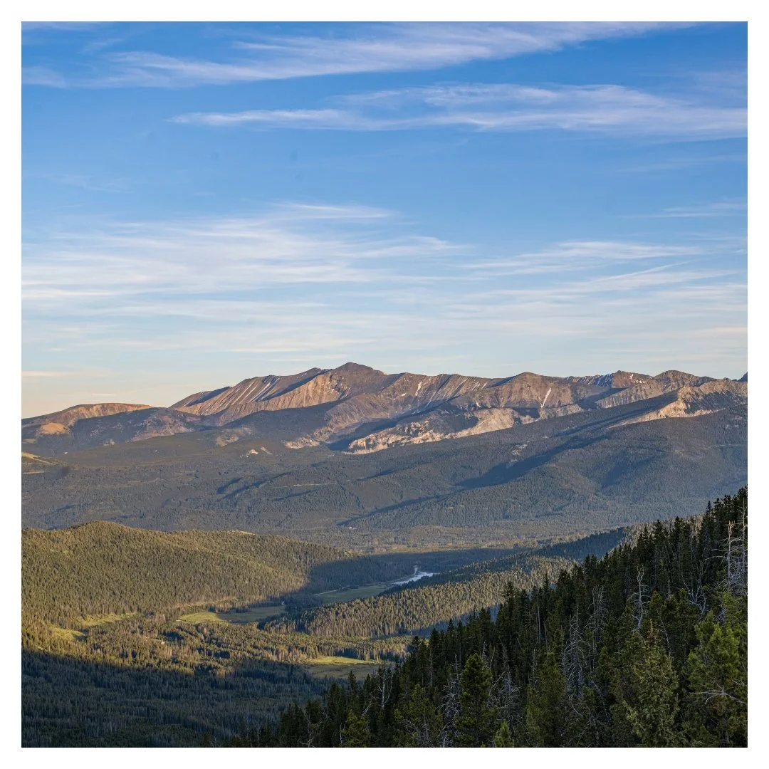 3 Simple Ways To Keep A Care-Free Home