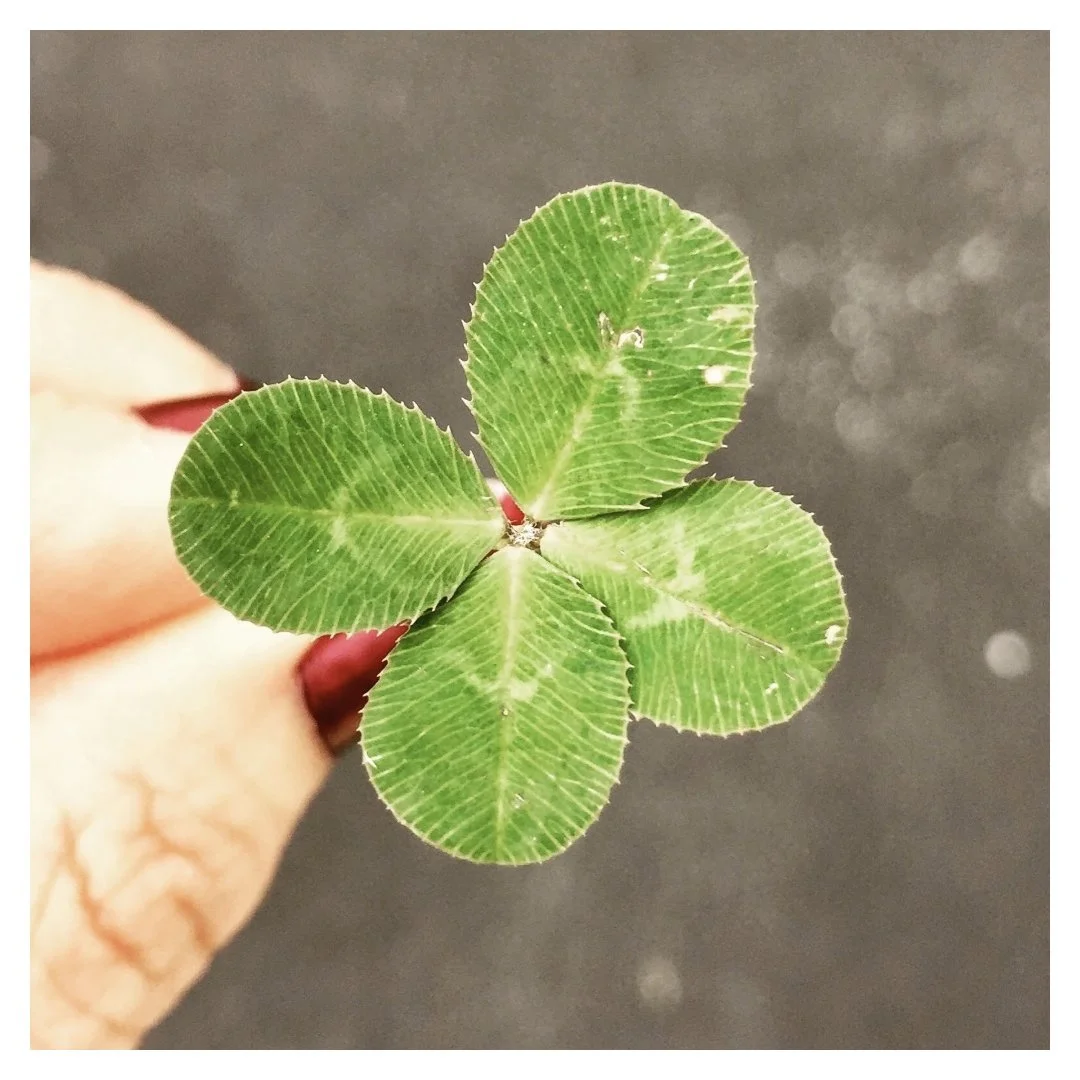 What Does Green Mean?